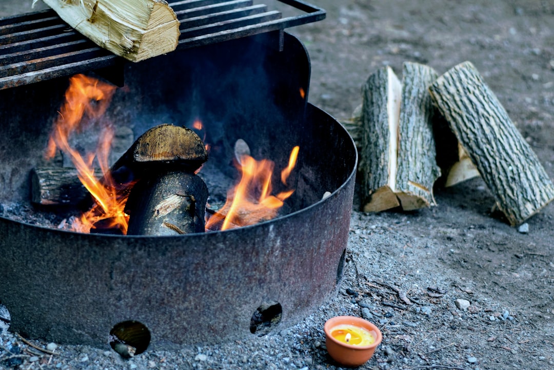 burning firewoods on grille, Flames in a fire pit