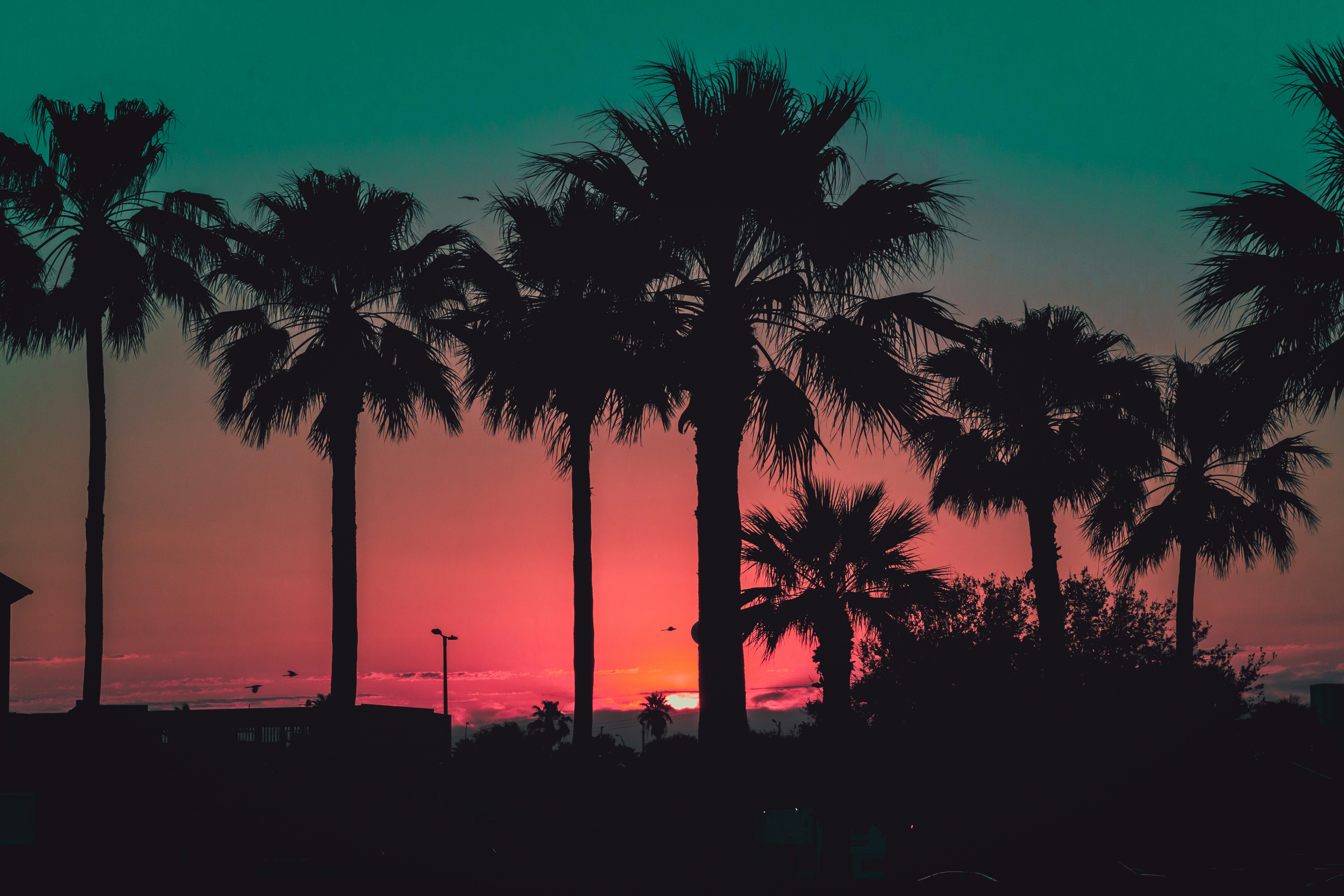 Free Unsplash photo from Adan Guerrero