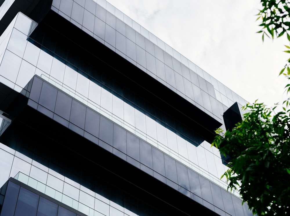 glass wall building during daytime by tree