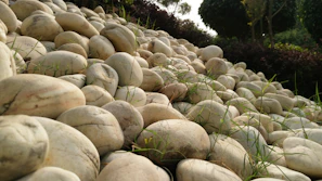 White marble chips scattered across a garden path