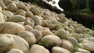 White marble chips scattered across a garden path