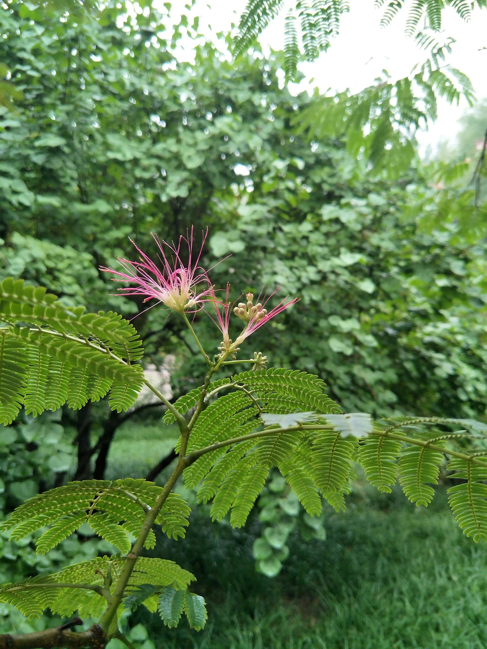 Free Unsplash photo from Shui Jiang