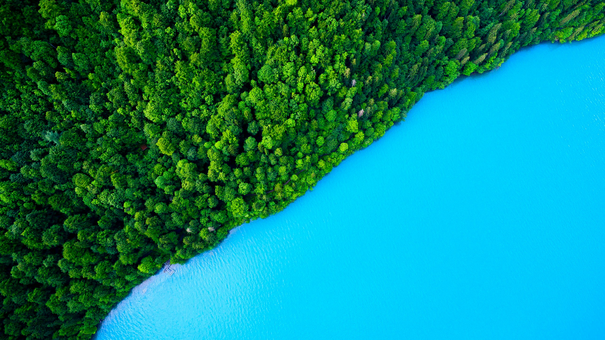 Est sit amet facilisis magna etiam