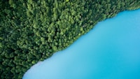 Amazon Rainforest