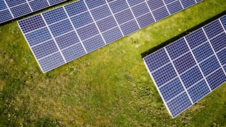photo of three solar panels