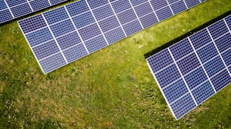 photo of three solar panels