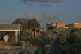 A modern architectural structure surrounded by lush vegetation and palm trees under a partly cloudy sky. The buildings have sleek, contemporary designs with clean lines and are constructed using materials like glass and stone. Sunlight casts a warm glow over the scene, highlighting the greenery.