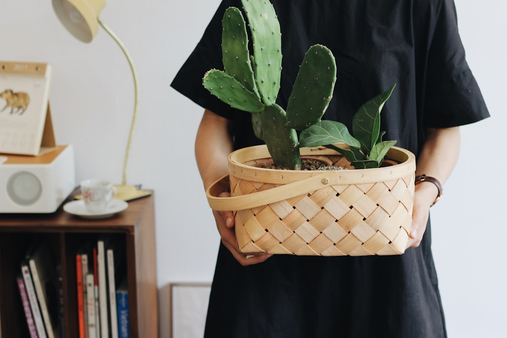 personne tenant une plante d’Opuntia dans un panier