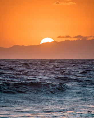 body of water during sunset