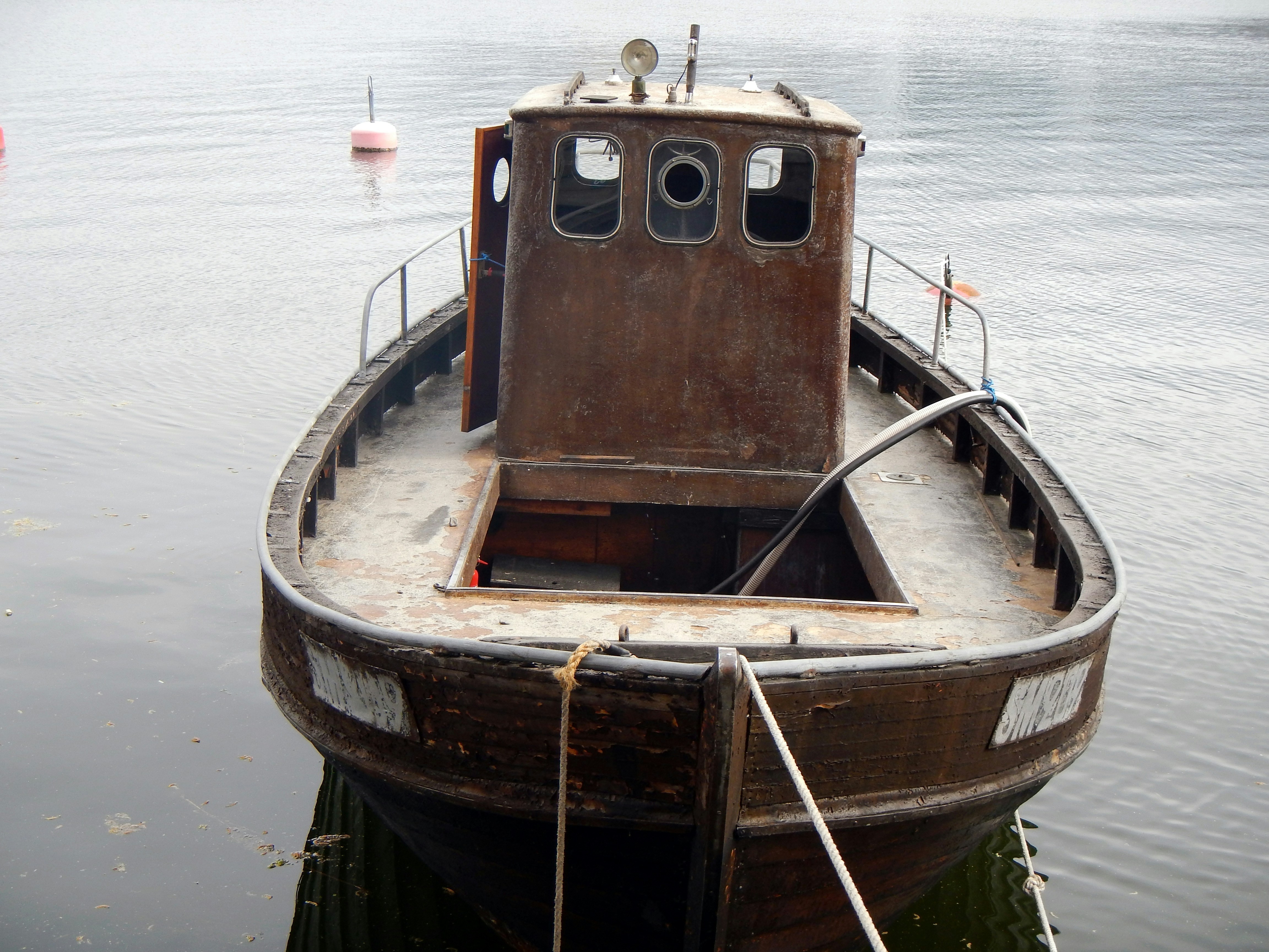 Free Unsplash photo from Marlene Dave