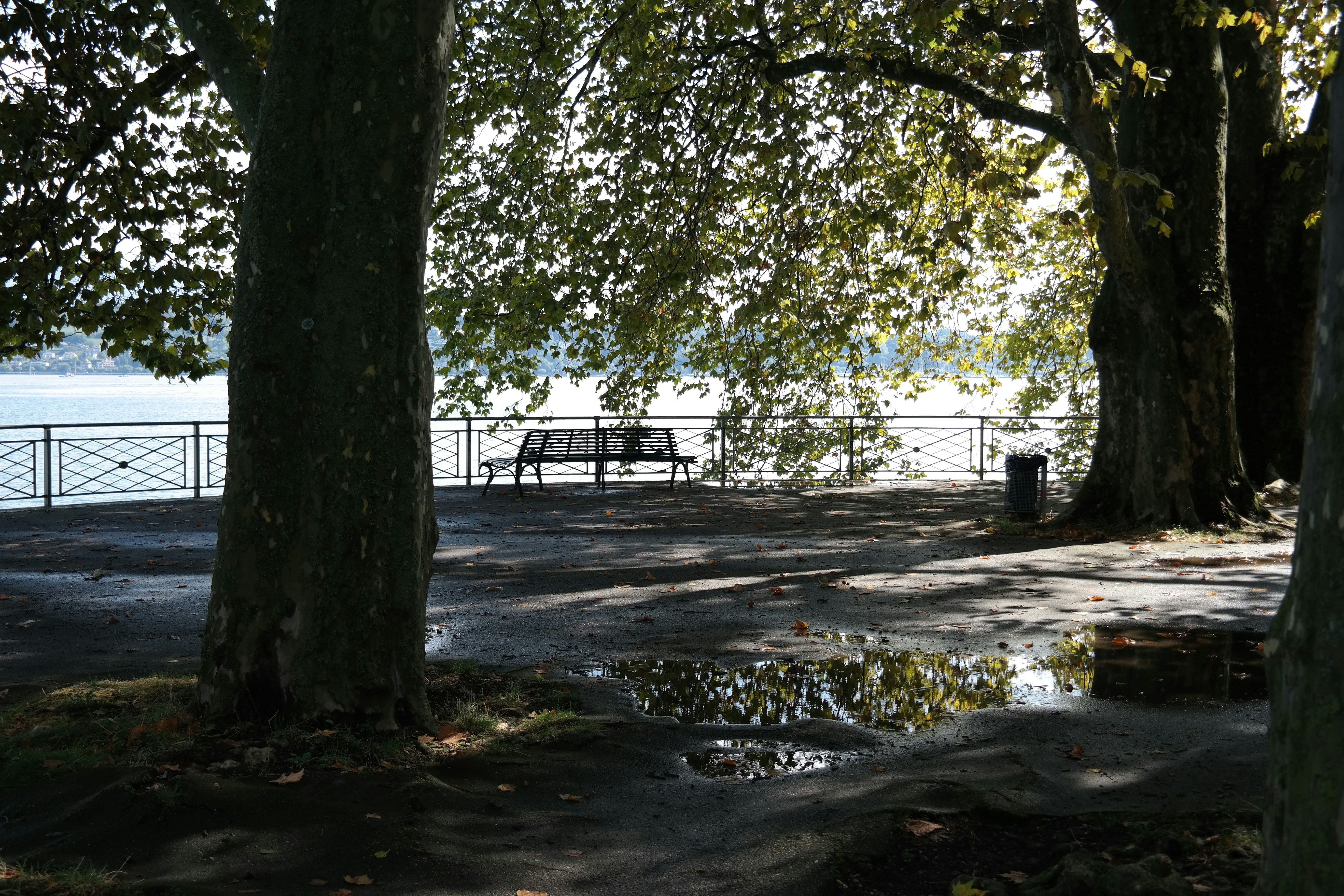 Free Unsplash photo from Jens Peter Olesen