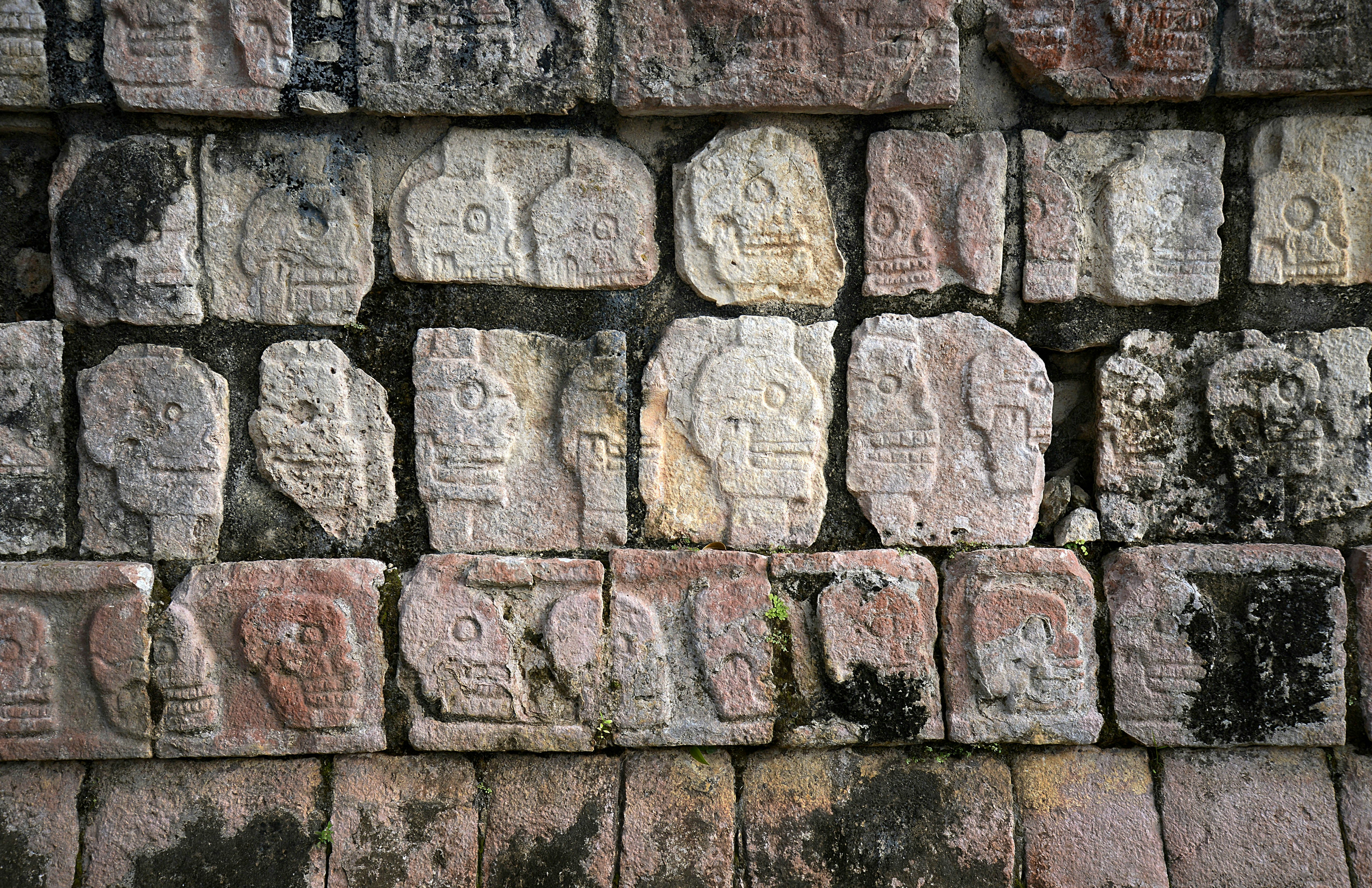 Free Unsplash photo from Elise St. Clair