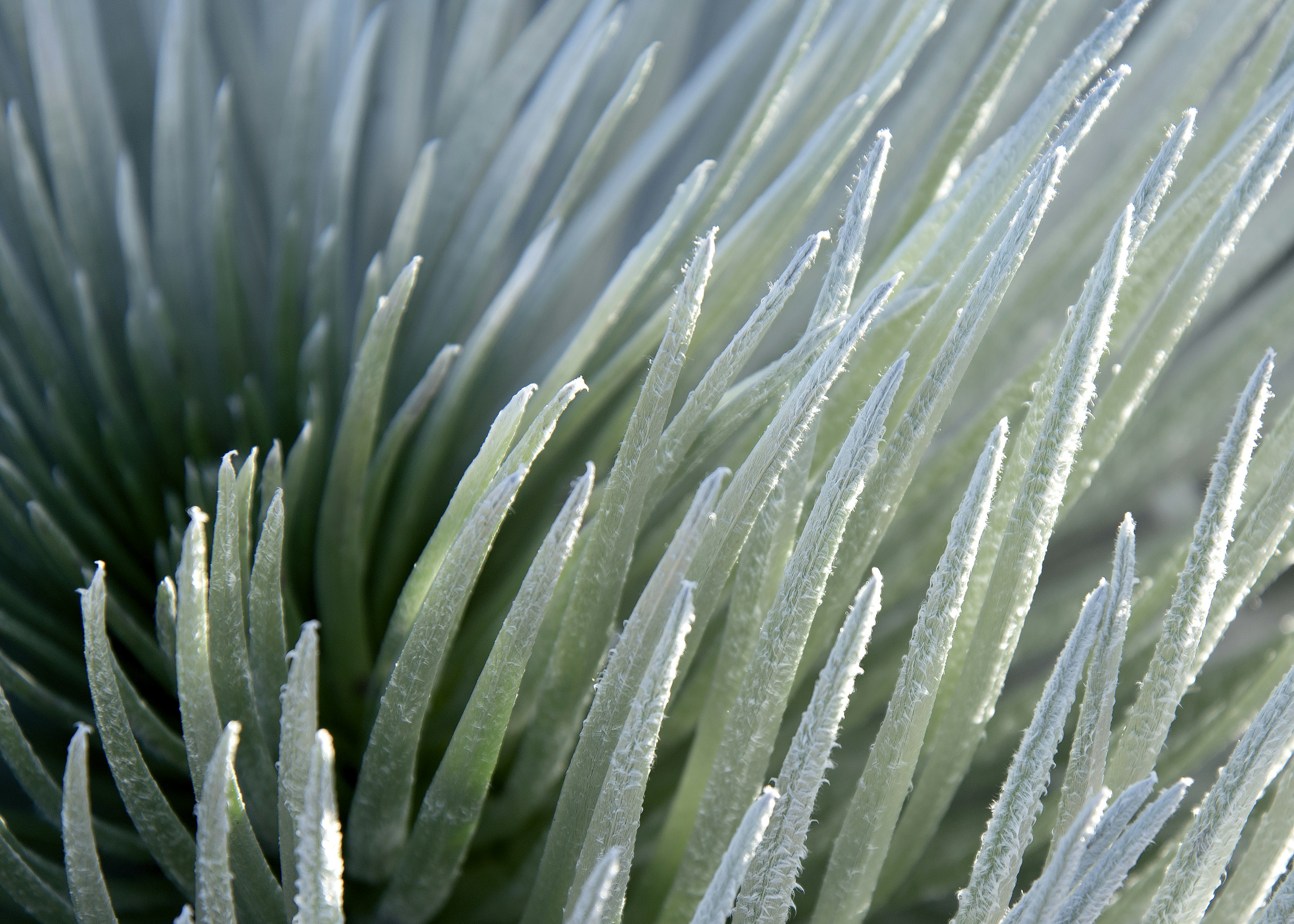 Free Unsplash photo from Elise St. Clair