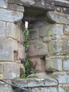 A weathered stone wall covered in moss, hinting at a forgotten fortress lost to time.