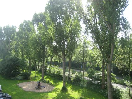 Green park area with solar panels and children playing