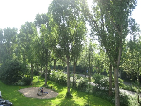 Children playing in a sunny park with lush greenery and no mosquitoes around.