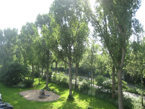 Children playing in a green playground surrounded by flourishing trees and peaceful sunshine rest areas.
