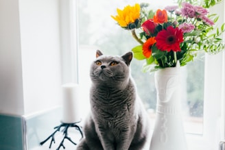 Russian blue cat standing near ceramic vase with artificial flowers