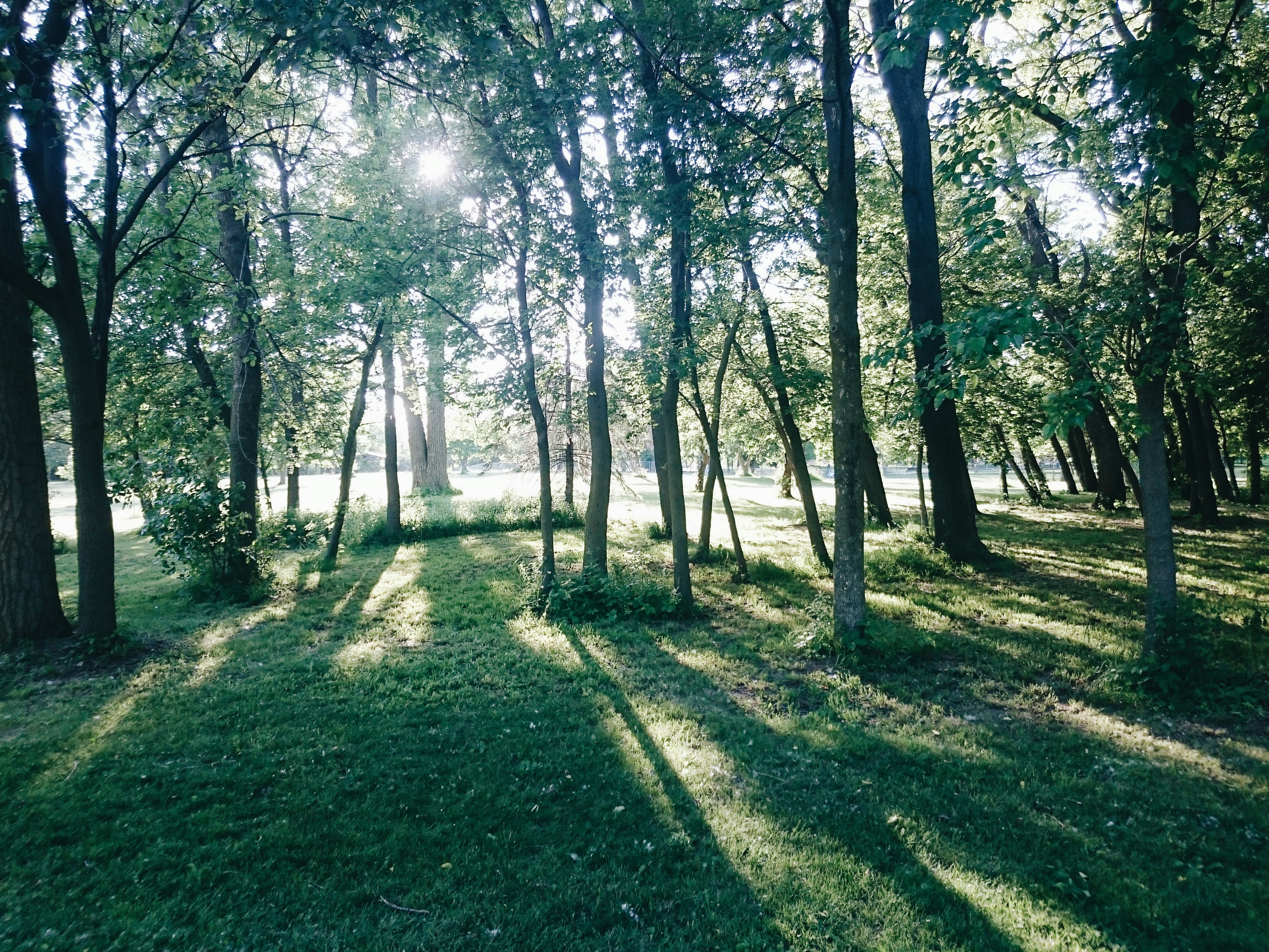 Free Unsplash photo from Dan Ritson