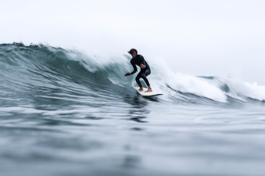 photo of Malibu Surfing near Hollywood Sign