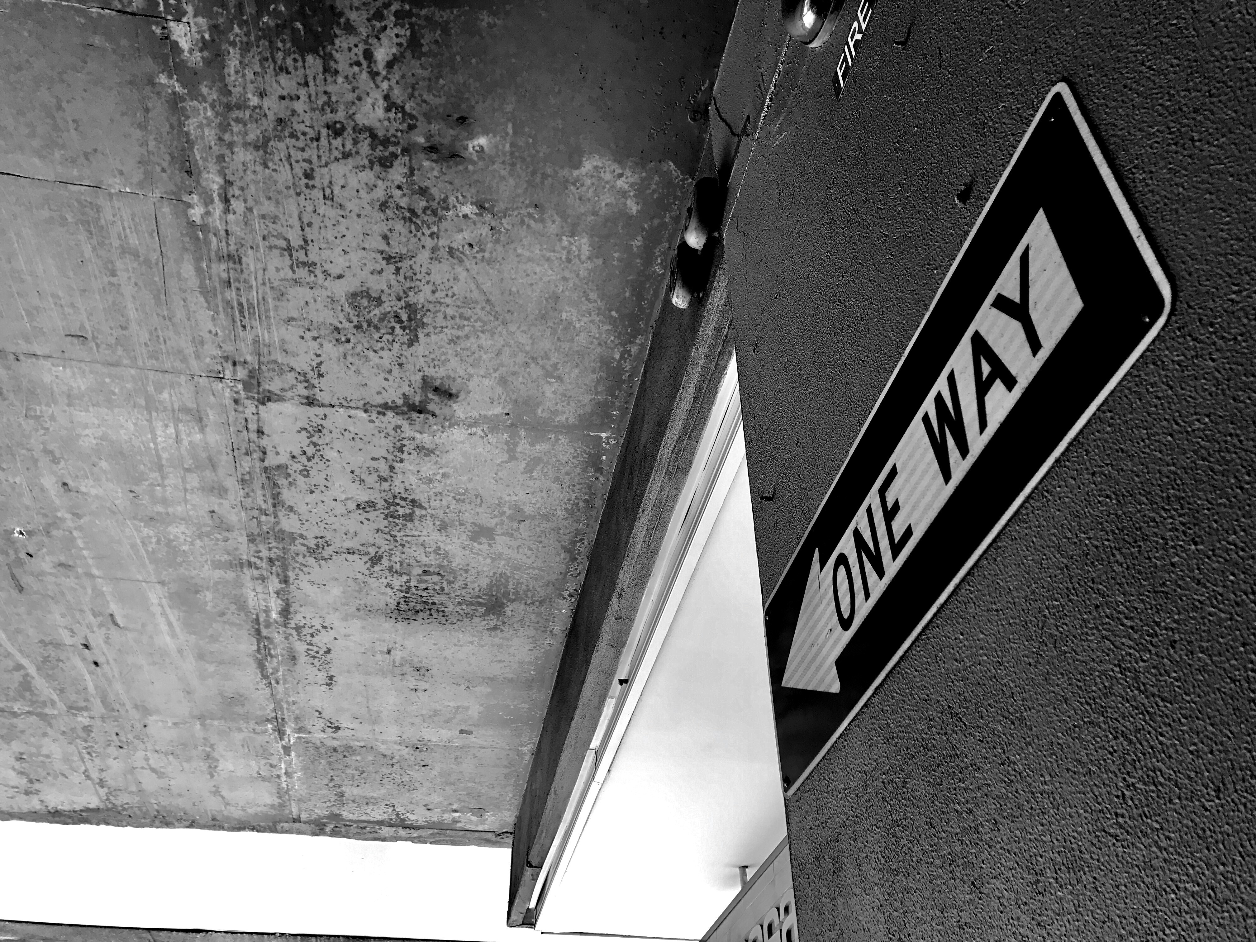 Free Unsplash photo from kevin Xue