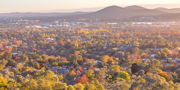 A scenic view of a Canadian city skyline with autumn leaves in the foreground.