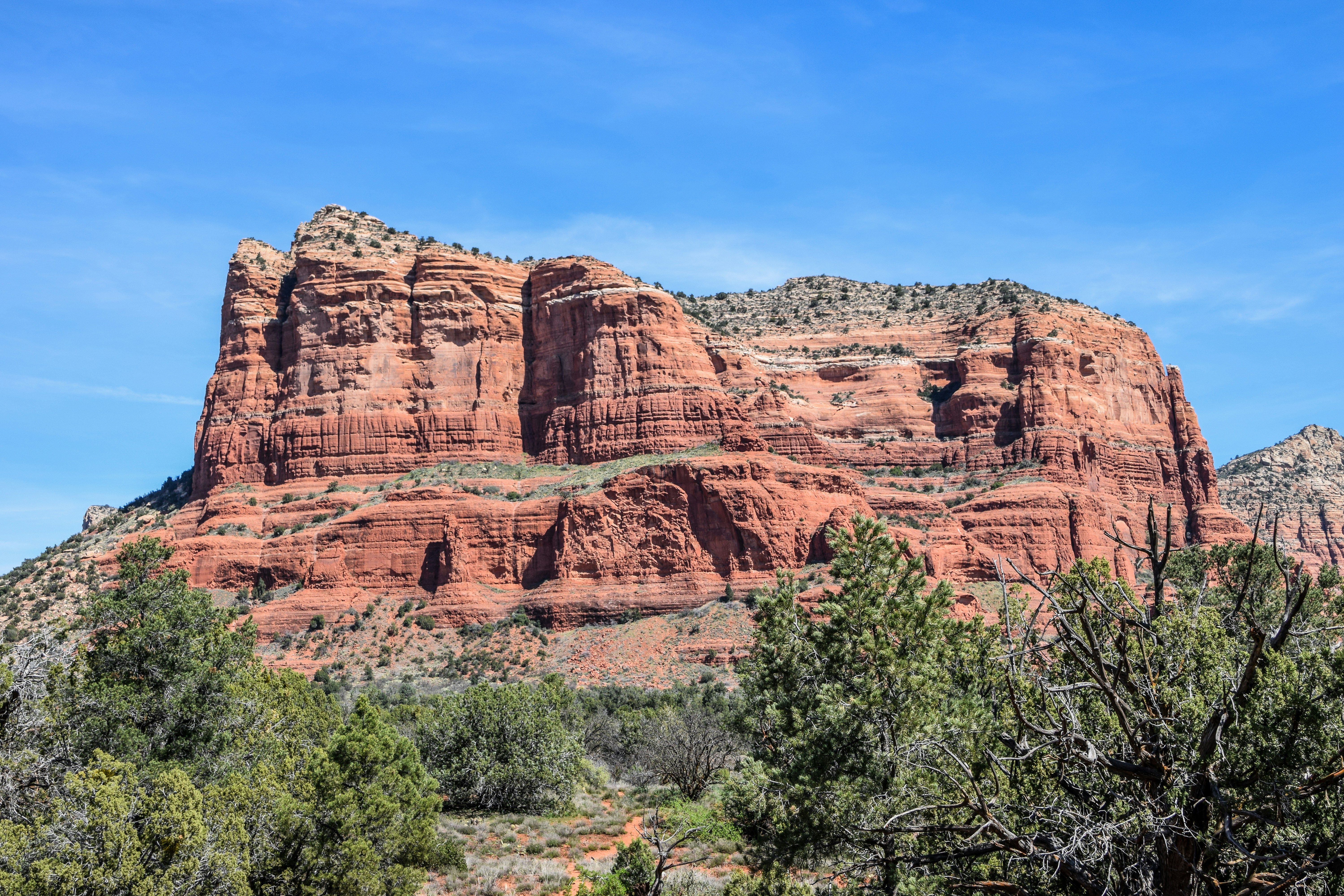 Free Unsplash photo from Jenny Stevens