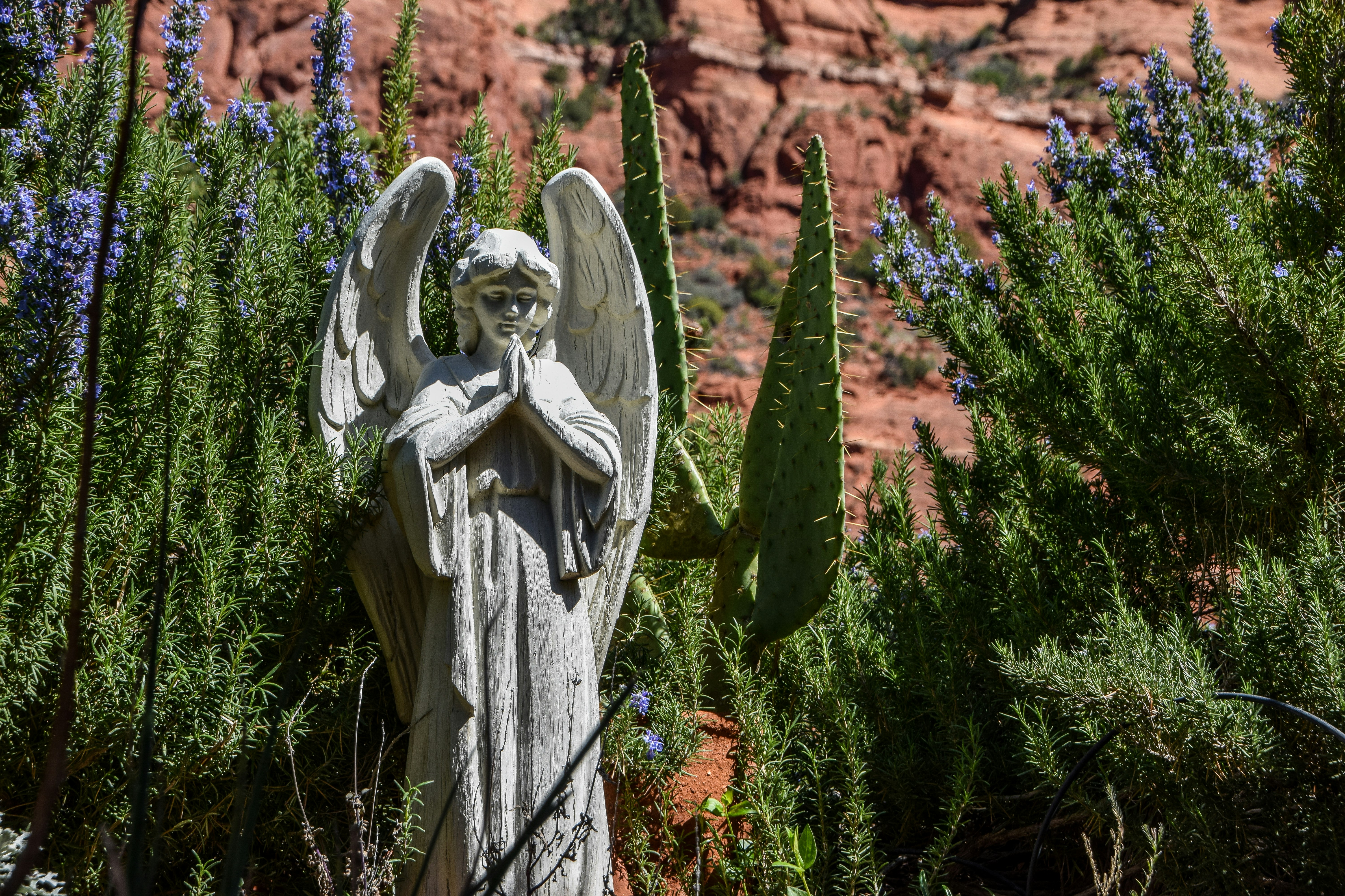 Free Unsplash photo from Jenny Stevens