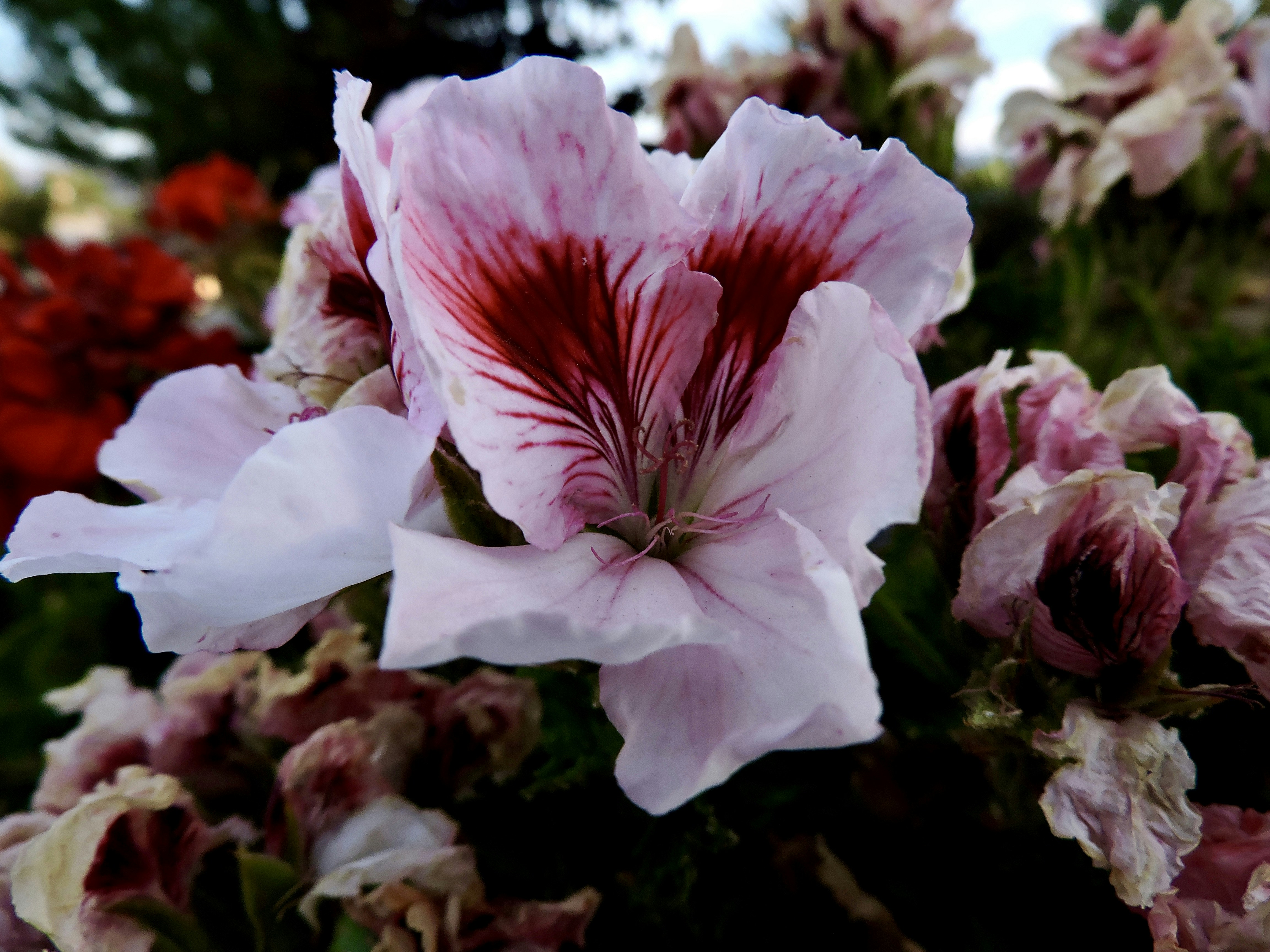 Free Unsplash photo from Karissa Brook