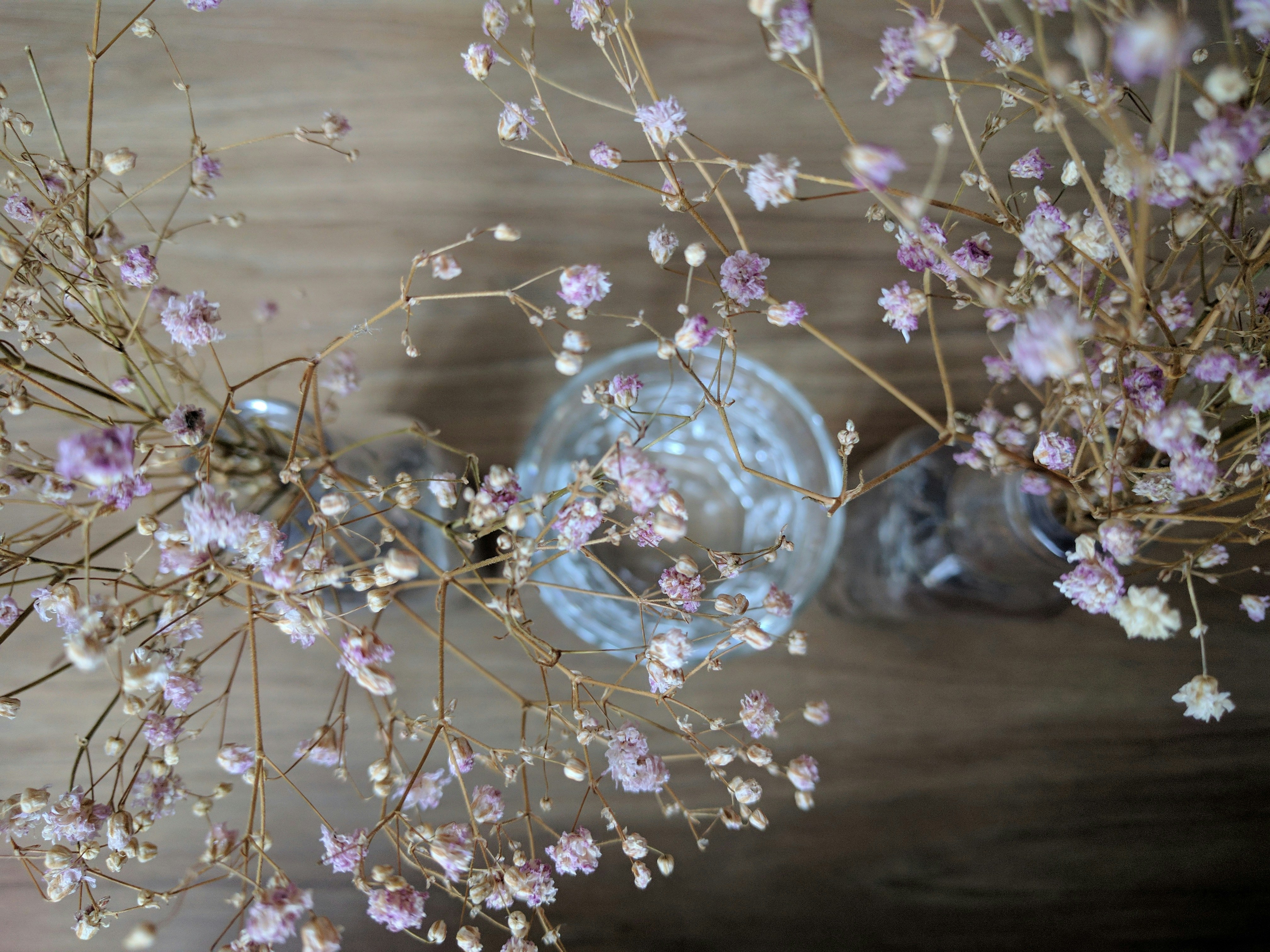 Free Unsplash photo from Fu Hsien Ng