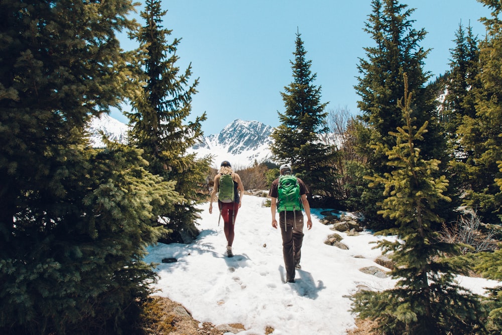 Due uomini che camminano sulla montagna circondata da pini