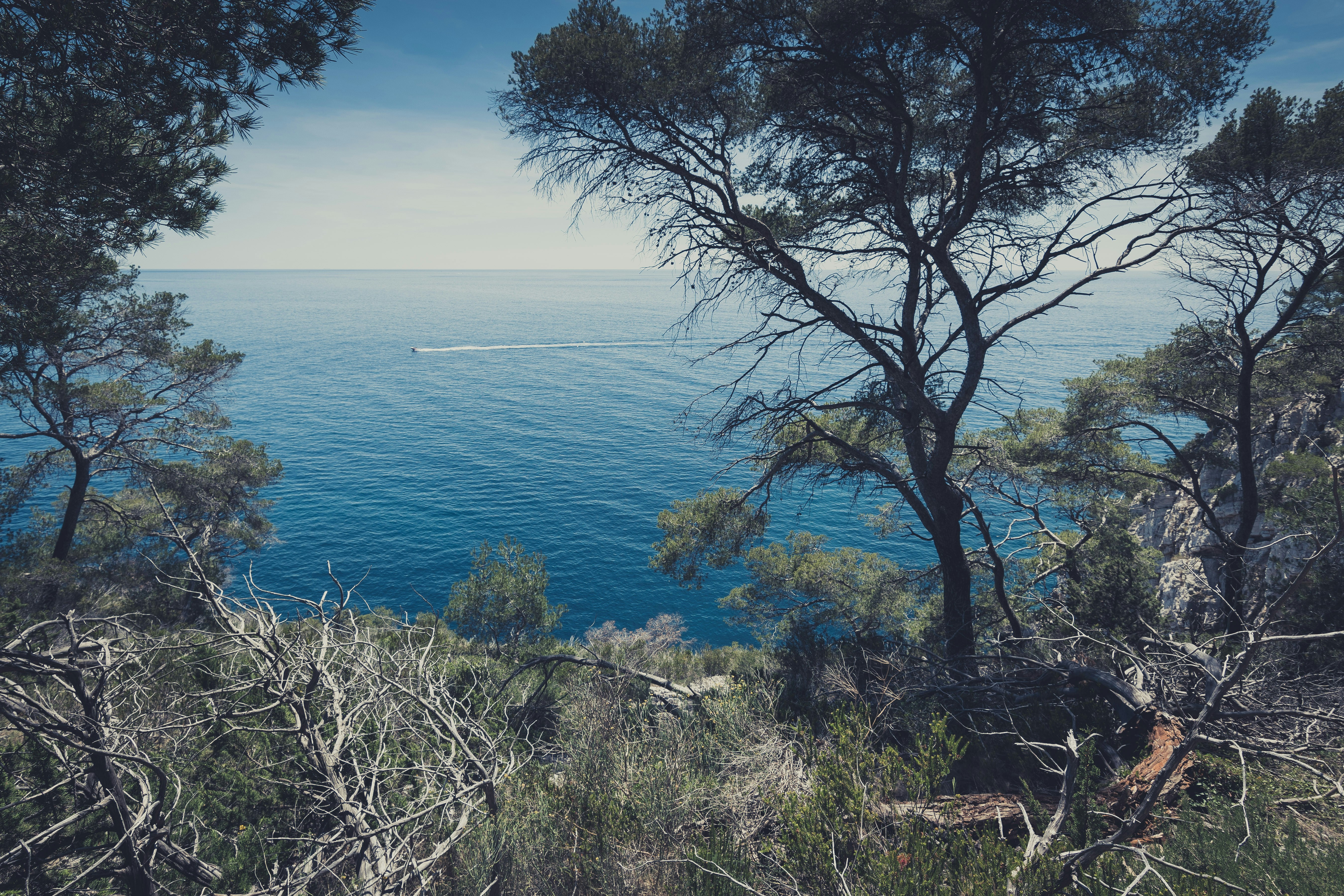 Free Unsplash photo from Romain Vignes