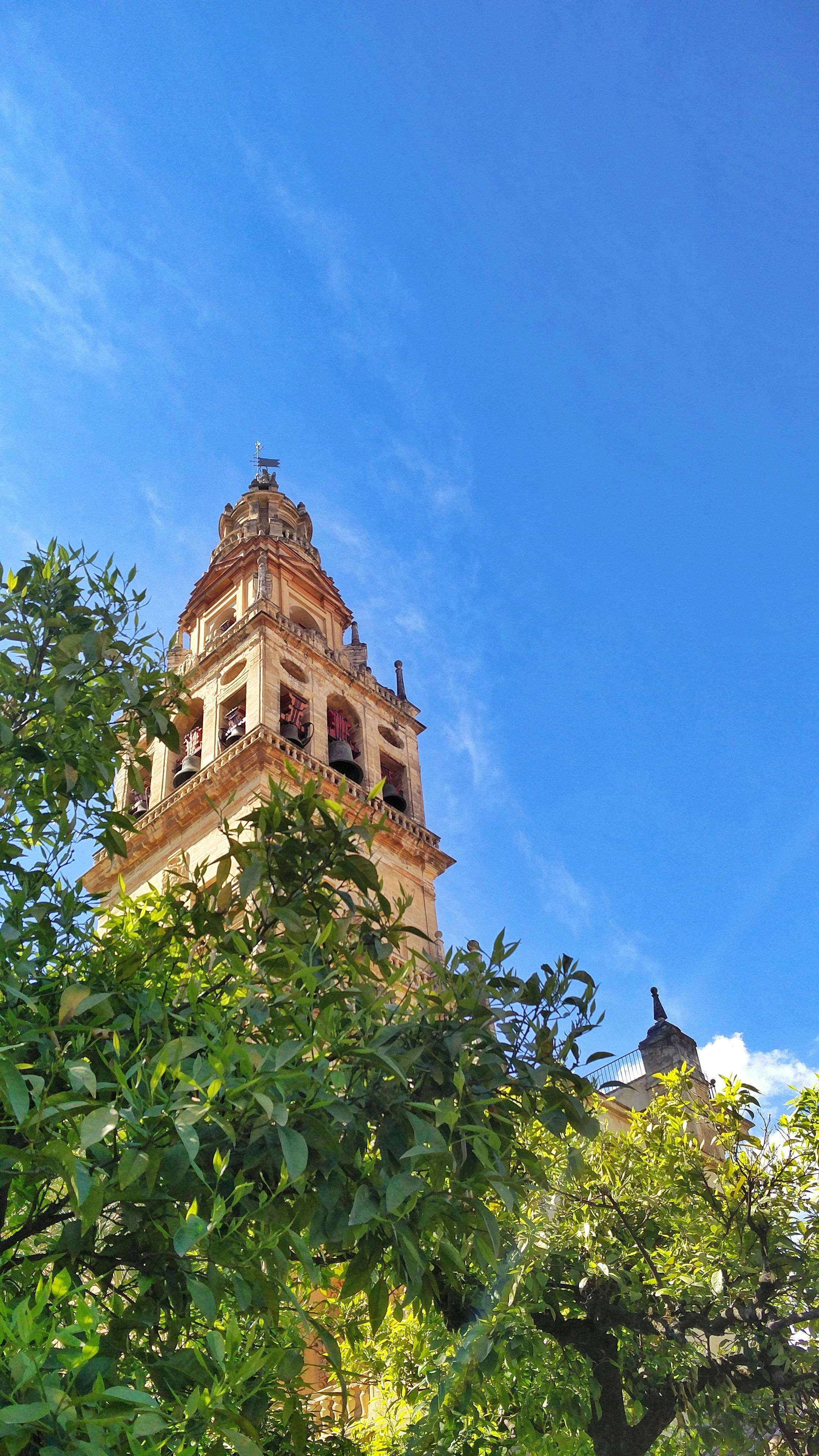 Free Unsplash photo from Stefano Bortot