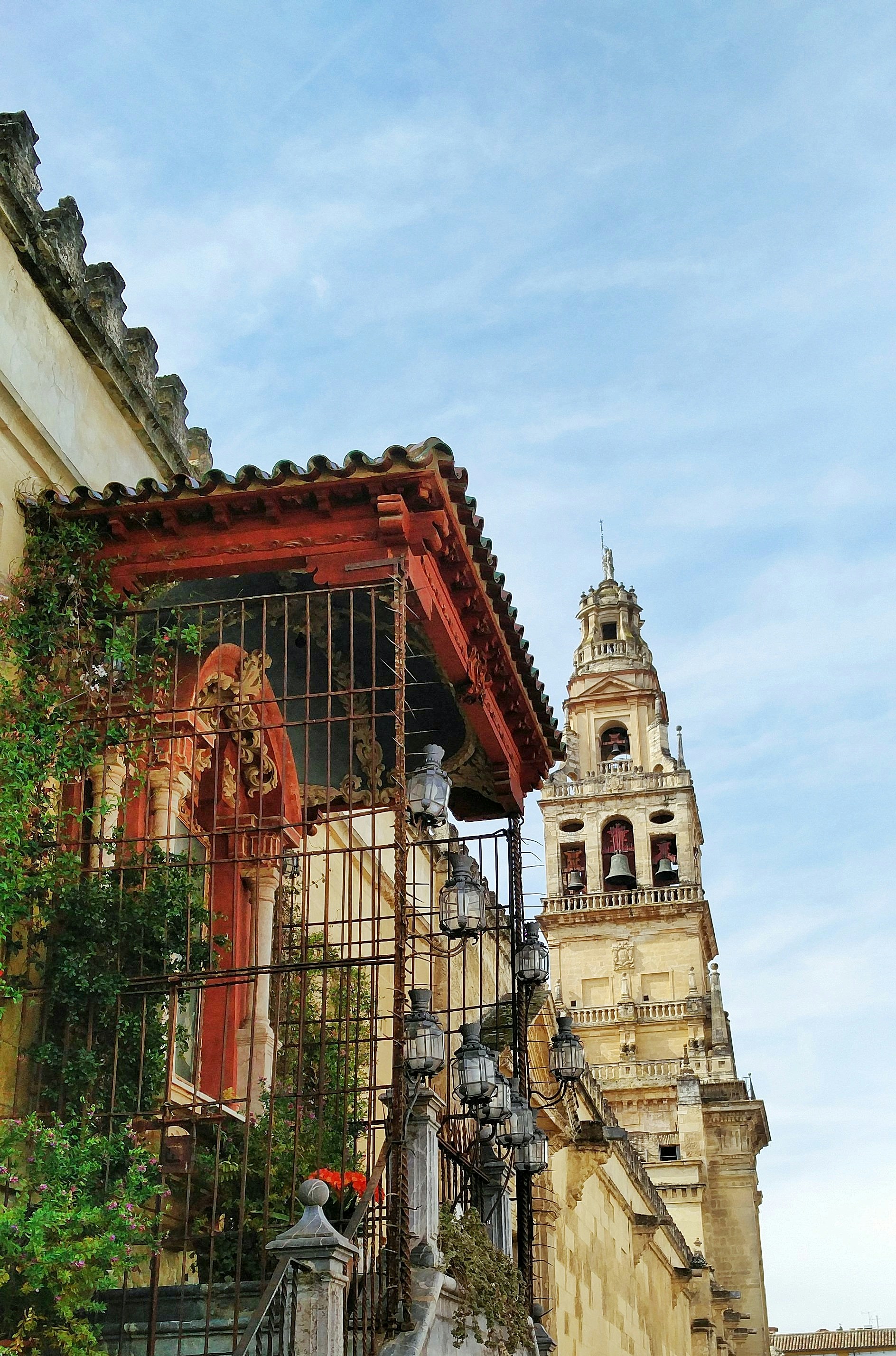 Free Unsplash photo from Stefano Bortot