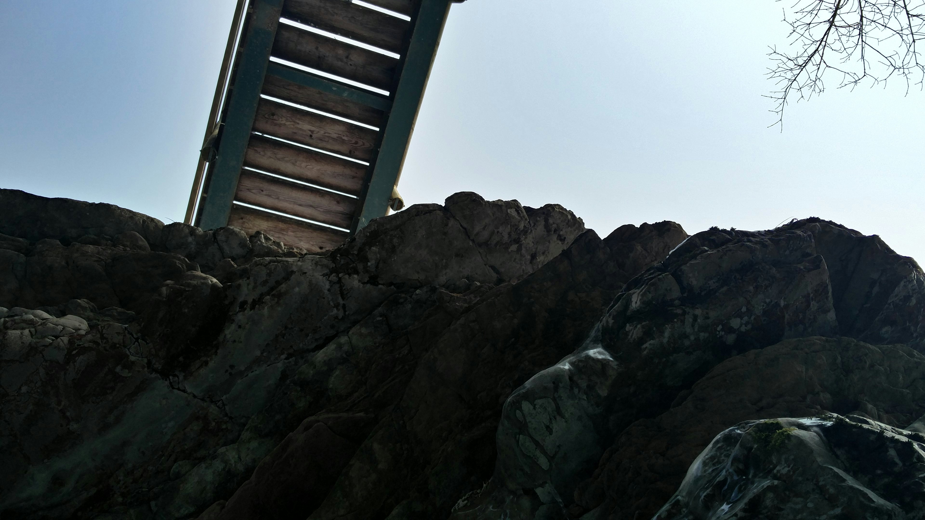 Free Unsplash photo from Stefano Bortot