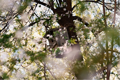 Handcrafted wooden birdhouse hanging on a tree branch in natural sunlight