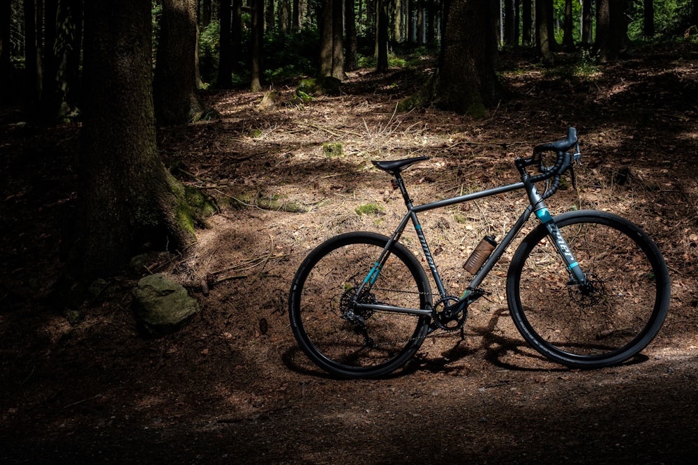 blaues und schwarzes Rennrad in der Nähe eines Baumes geparkt