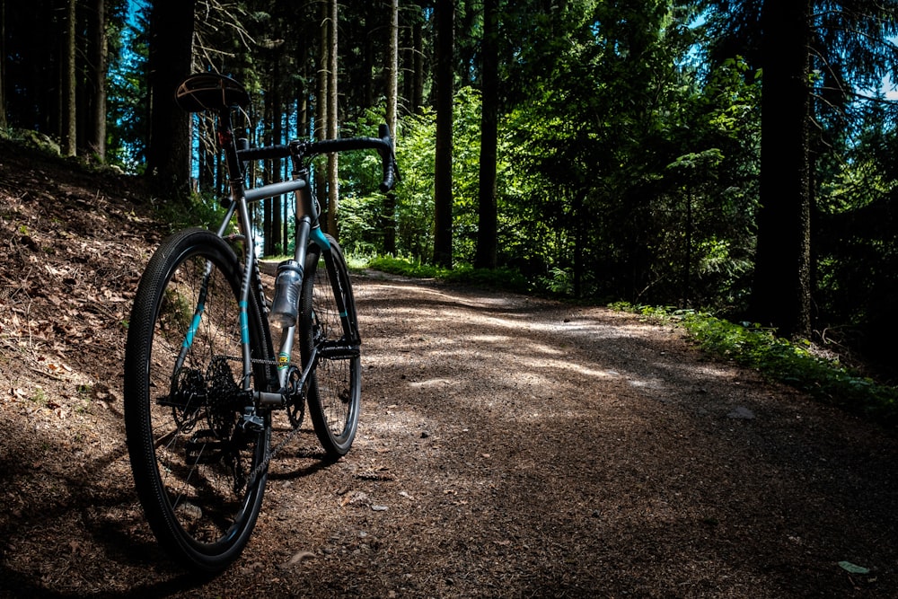 black and gray road bike near trees at daytime