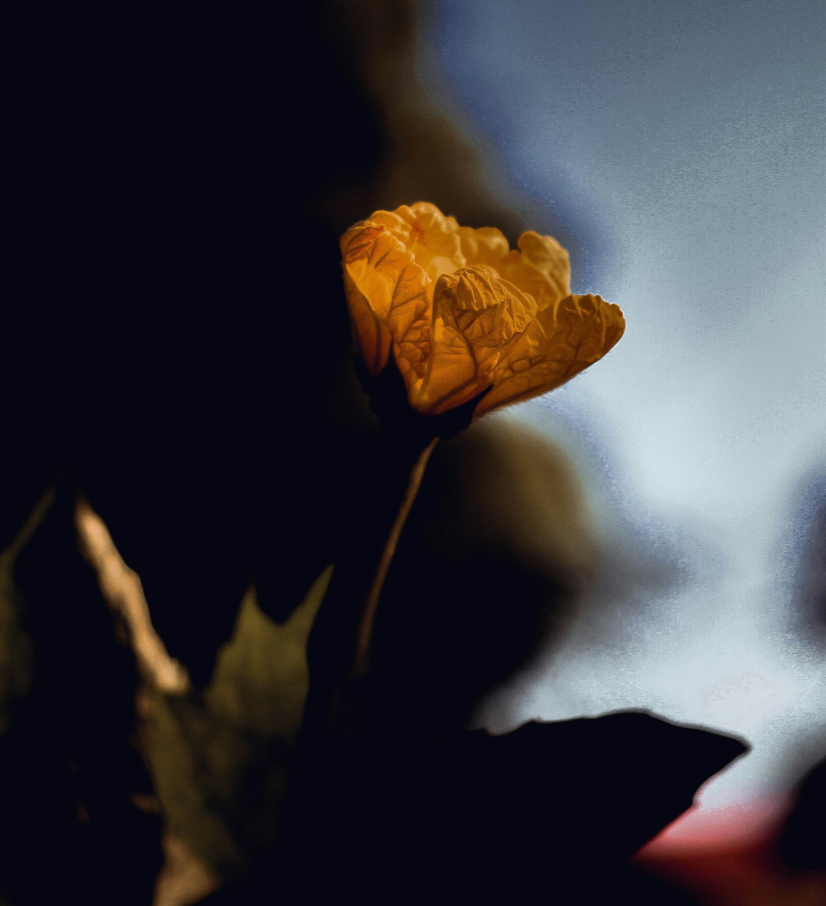 Free Unsplash photo from Trần Đạt