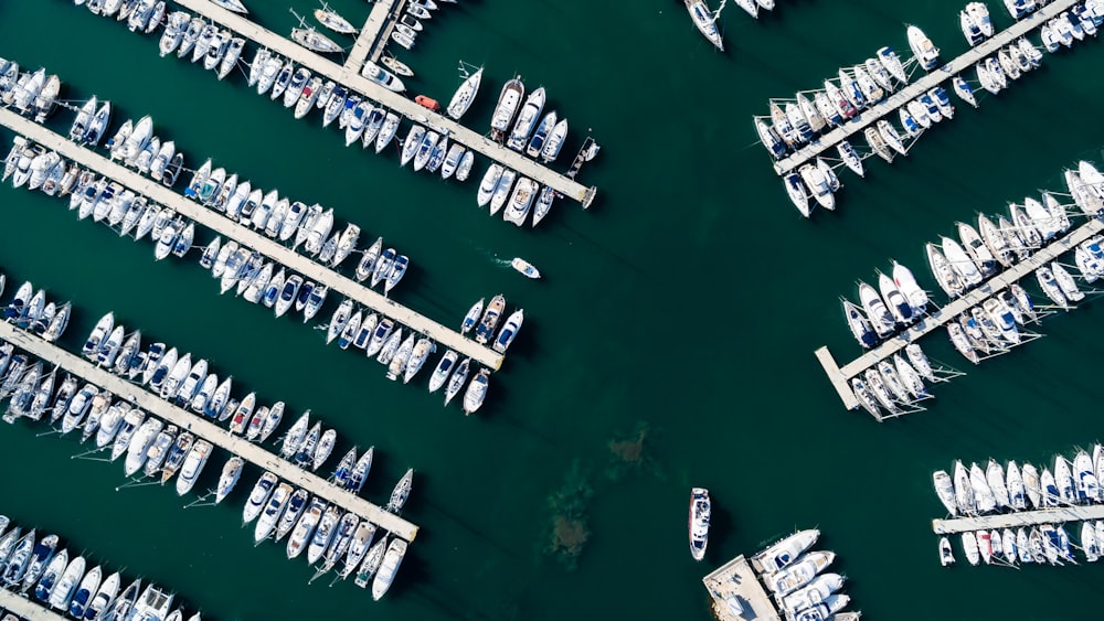 white boats on docking station