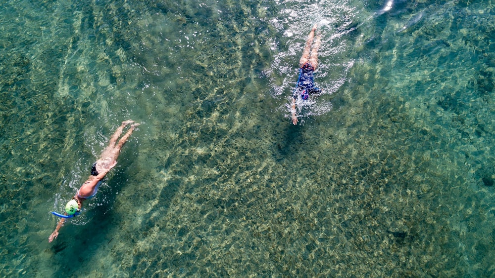 two person swimming on body of water