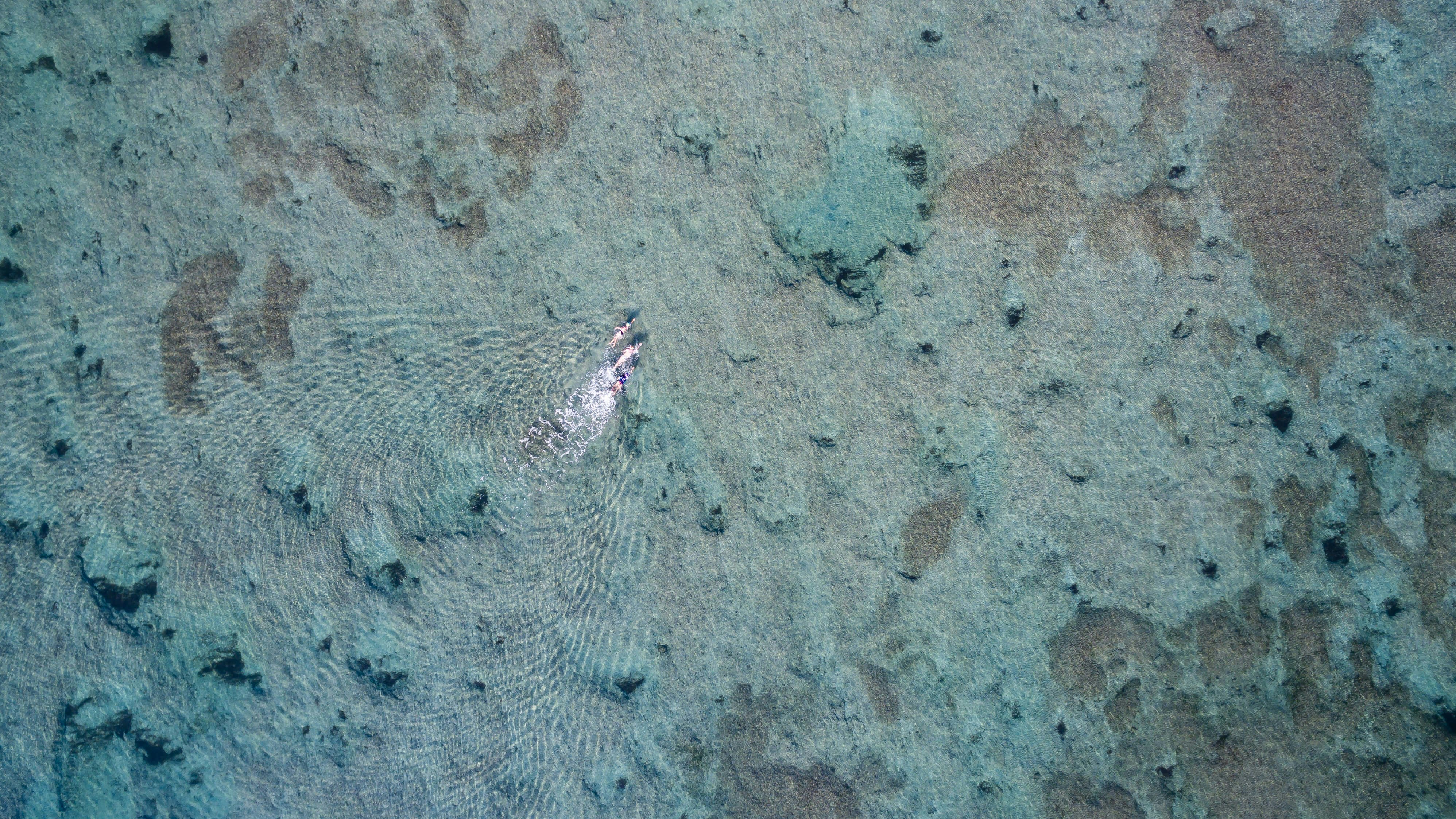 aerial view photography of clear sea at daytime