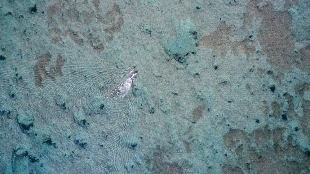 昼間の澄んだ海の空撮写真