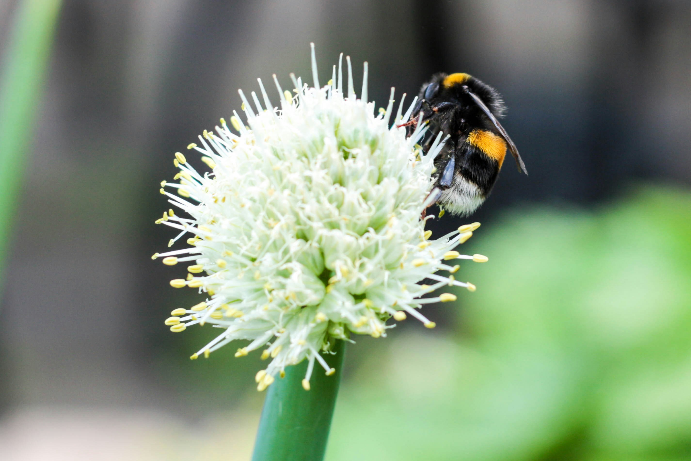 Free Unsplash photo from Nathan Nelson