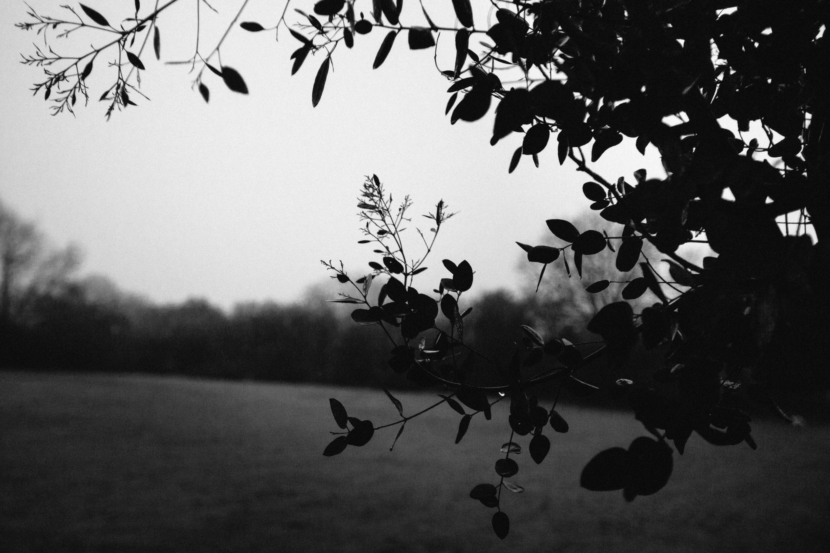 Free Unsplash photo from Dylan Roberts