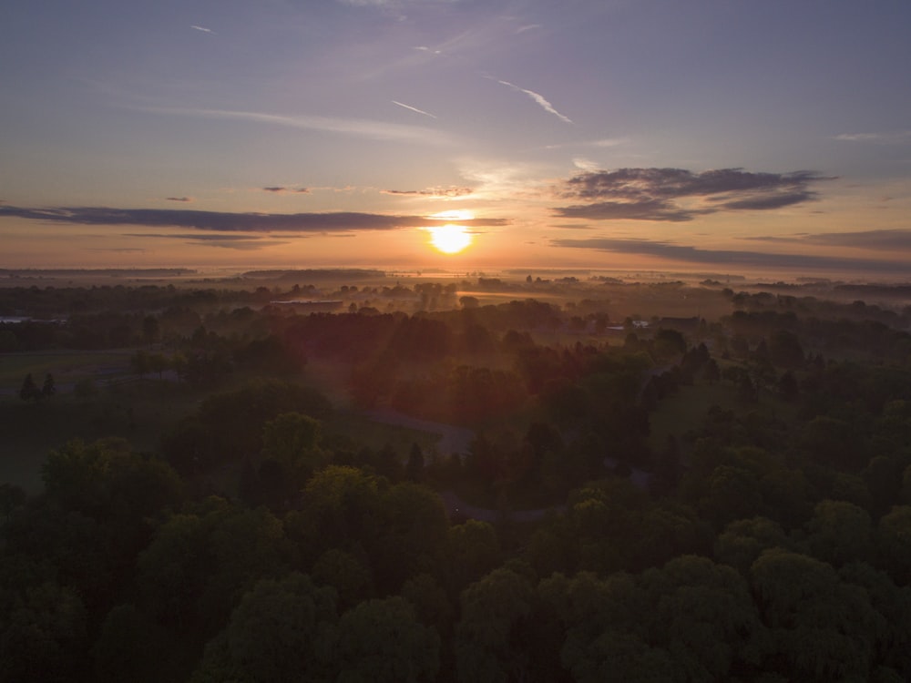 Die Sonne geht über einem Waldgebiet unter