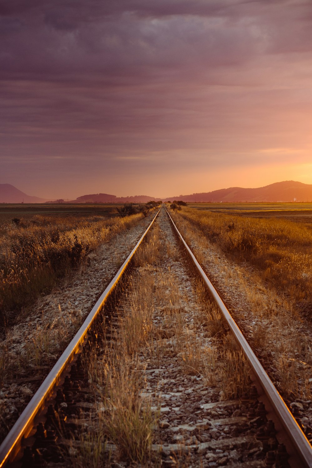 black metal train rail between green grass field during daytime