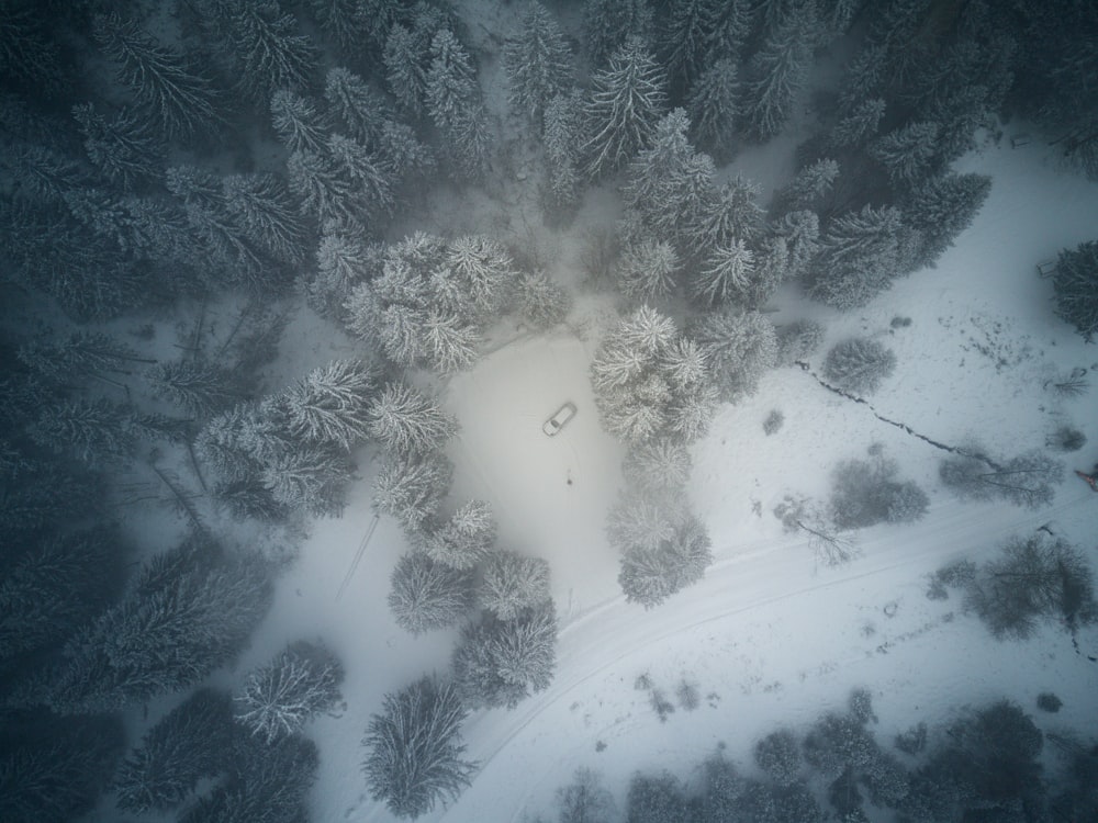 bird's eye view of vehicle stocked on snow between trees