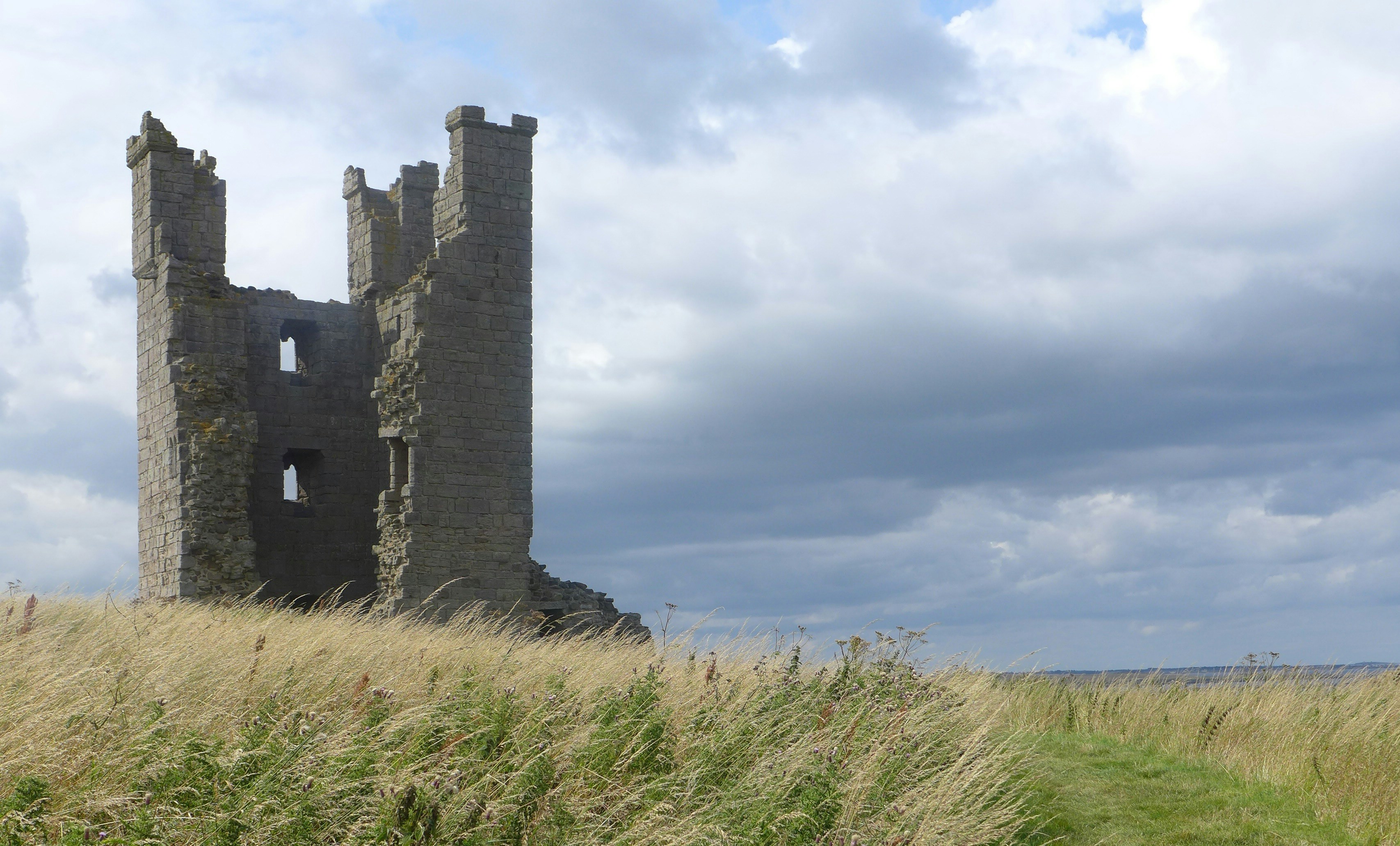 Free Unsplash photo from Steve Kersys