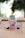 A popsicle is placed upright in a pink paper cup labeled 'POP EYES' with a playful design featuring cartoon eyes. The popsicle is green and has a frosty texture. Surrounding the cup is a pair of black earphones, and everything rests on a wooden surface, creating a casual and laid-back atmosphere.